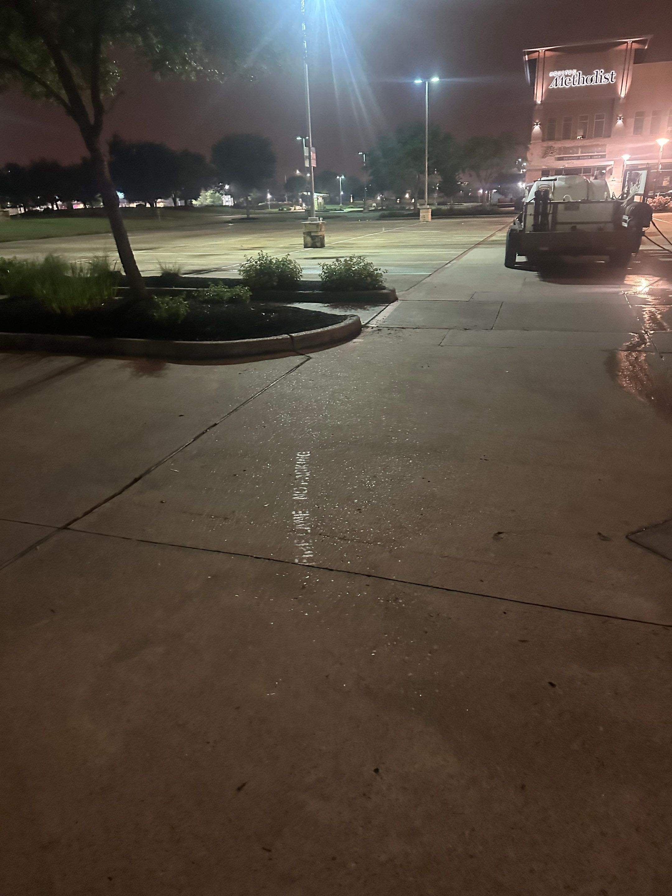 Professional Driveway Cleaning