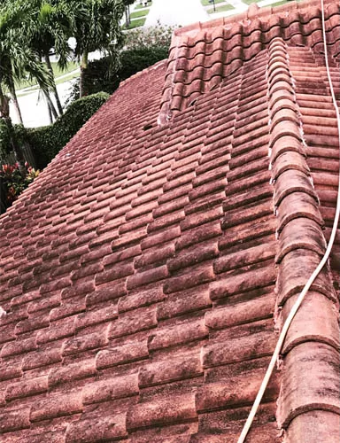 Before Roof Cleaning