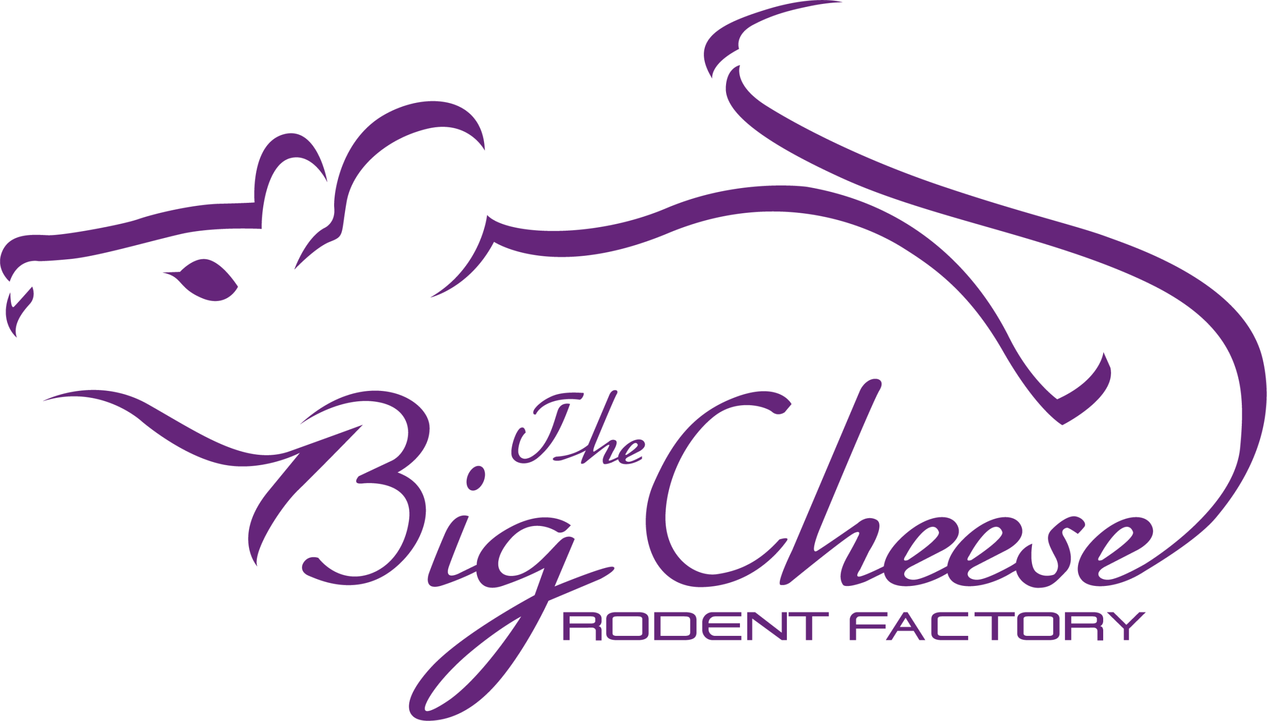 Big Cheese Rodent