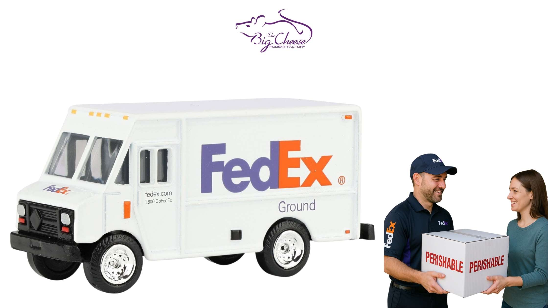 Frozen Feeder Shipping Explained: How Frozen Mice and Other Feeders Arrive Safely