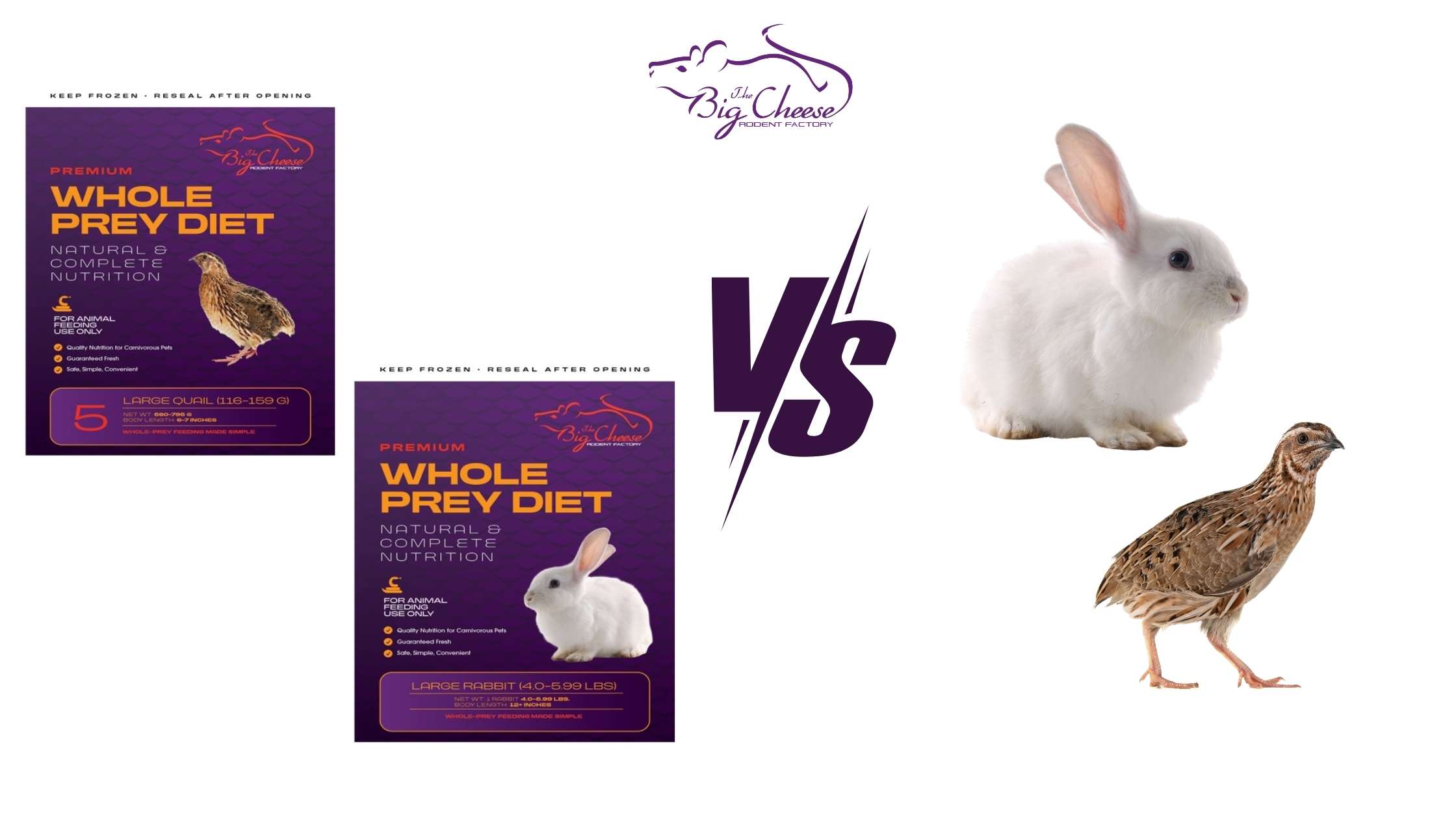 Frozen vs. Live Feeders: Which Is Better for Your Reptile?