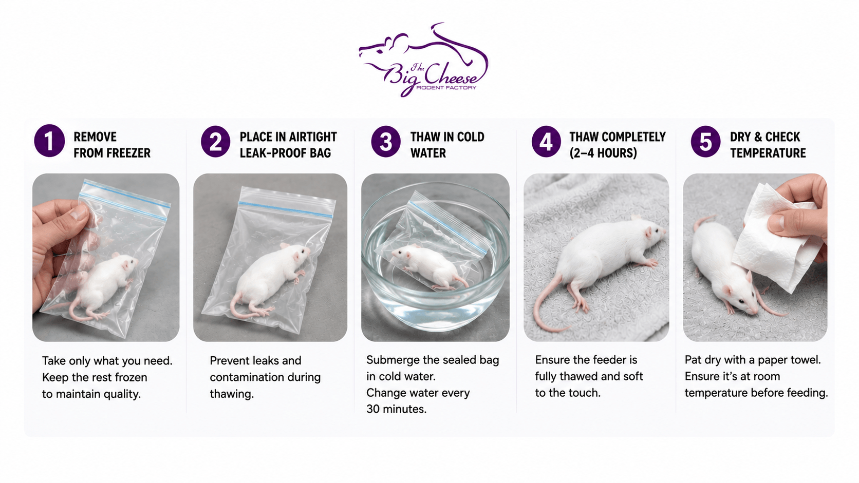 How to Safely Thaw Frozen Mice & Frozen Rats for Reptile Feeding?