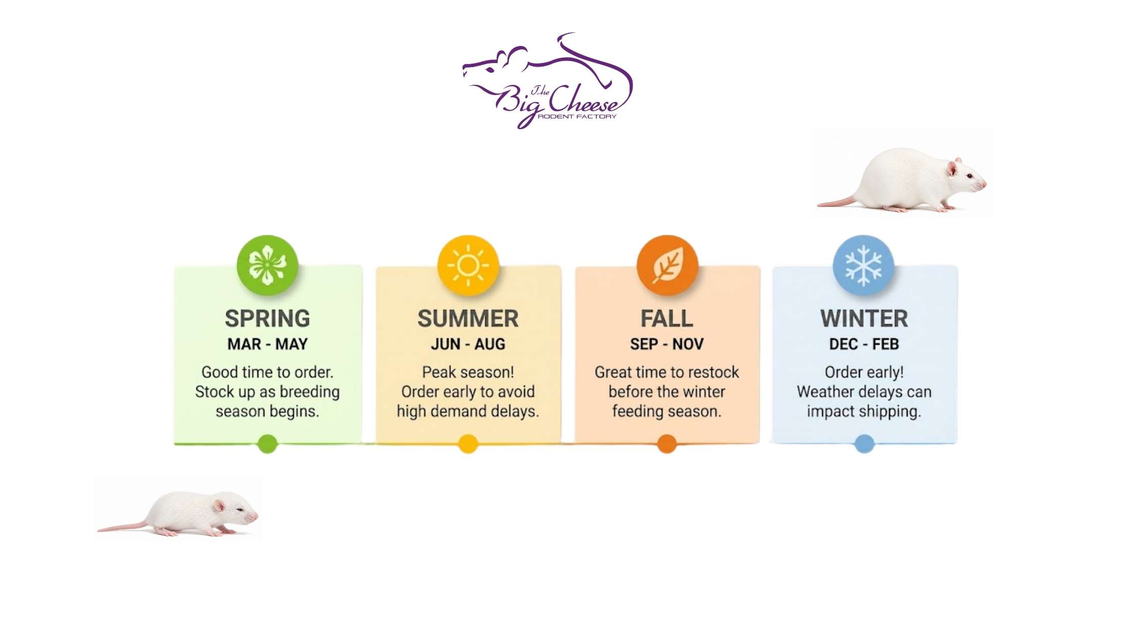 Choosing the Best Shipping Day for Frozen Feeder Orders