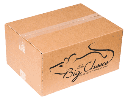 Shipping box